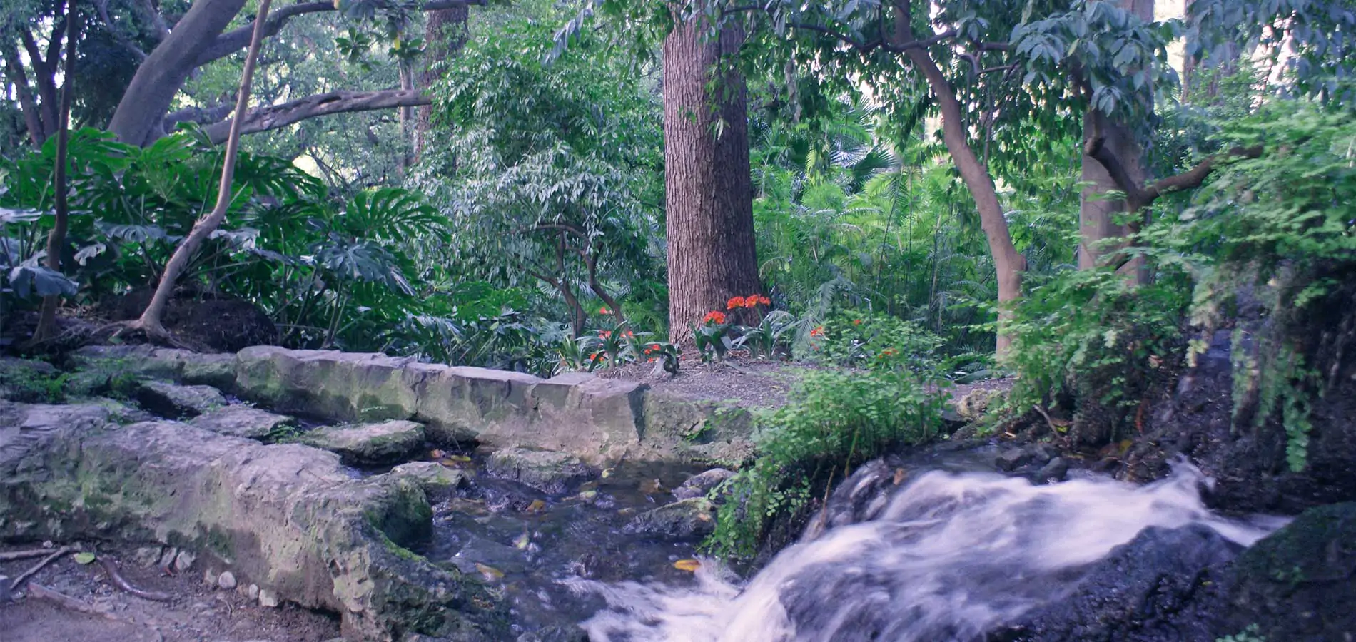 Jardín Botánico-Histórico de La Concepción