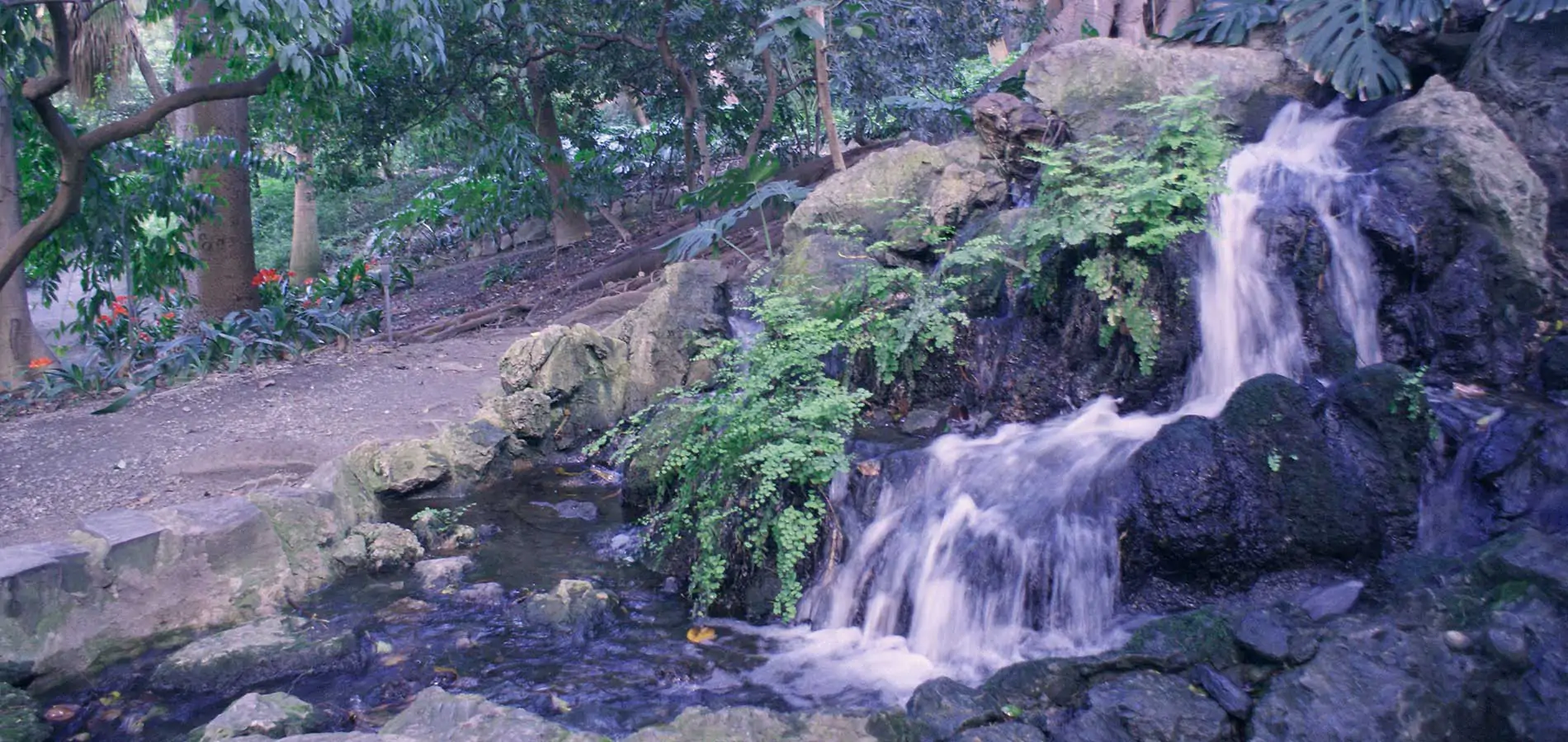 Jardín Botánico-Histórico de La Concepción