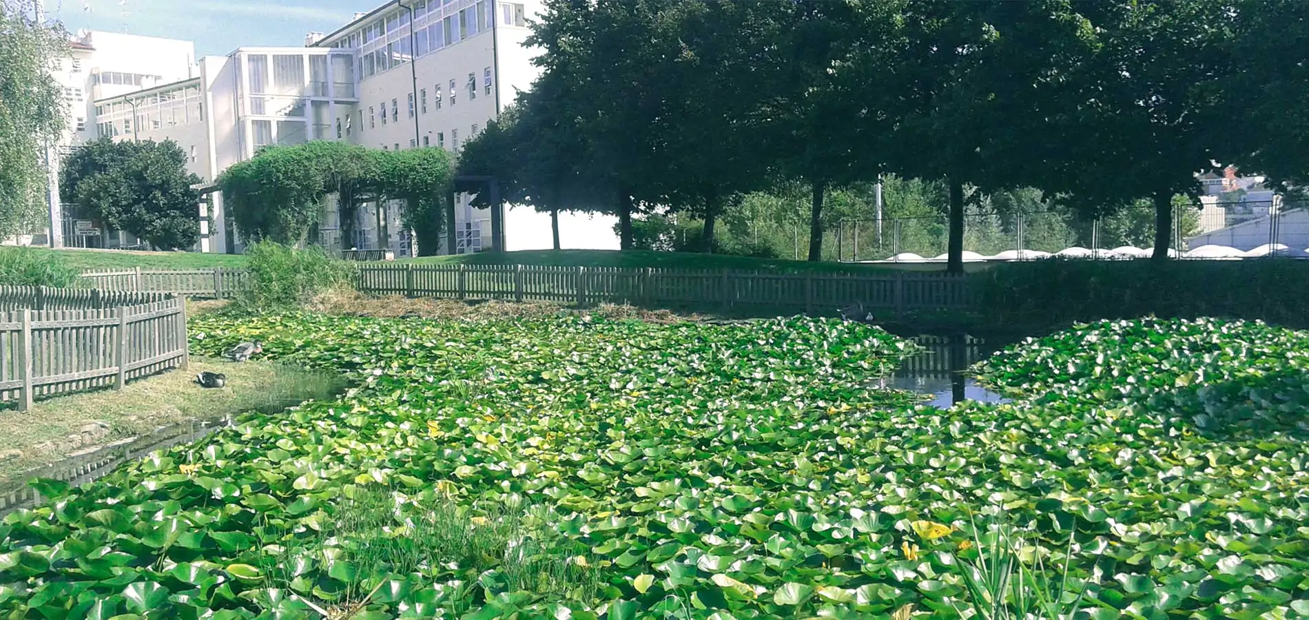 Zonas verdes de Vigo