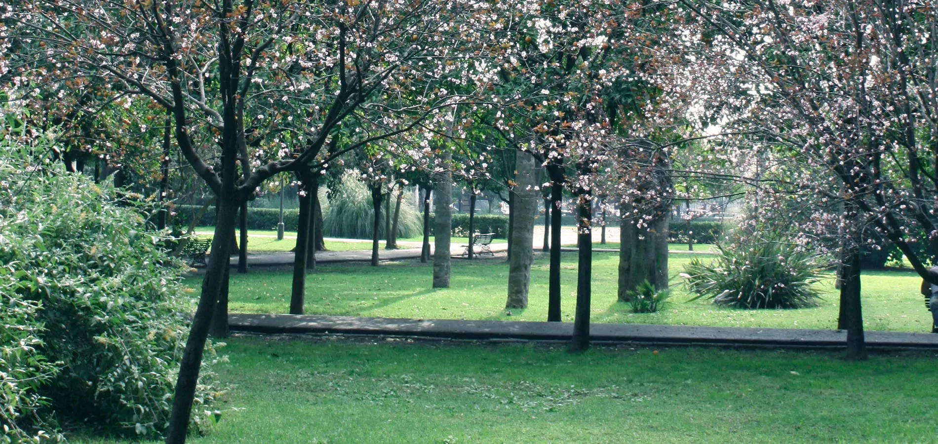 Jardines de la ciudad de Sevilla