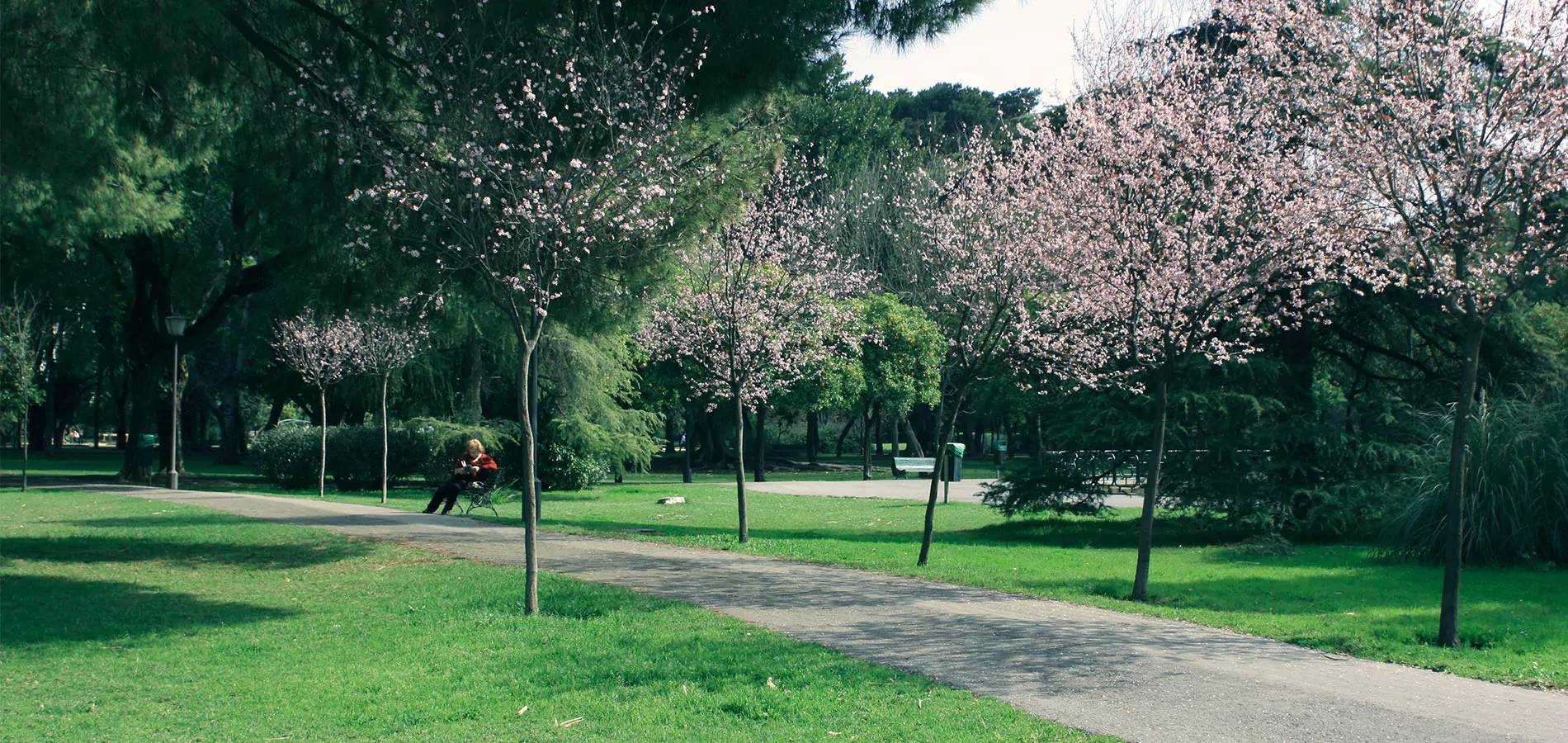 Jardines de la ciudad de Sevilla