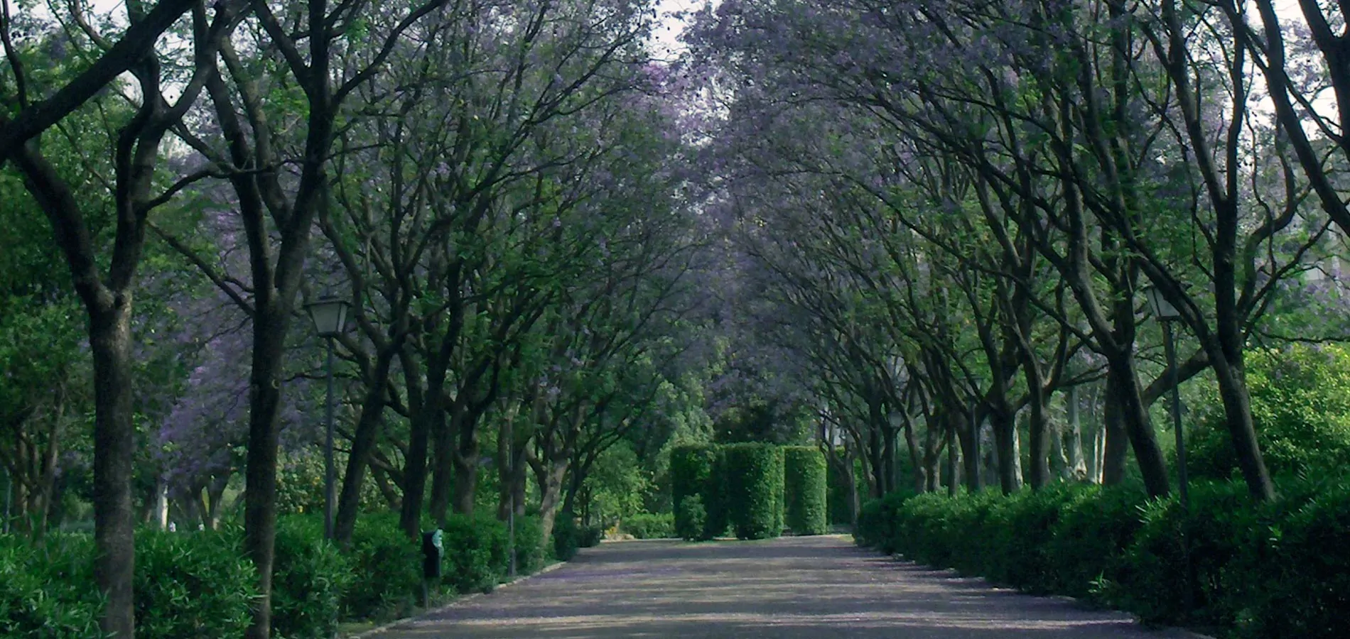 Jardines de la ciudad de Sevilla