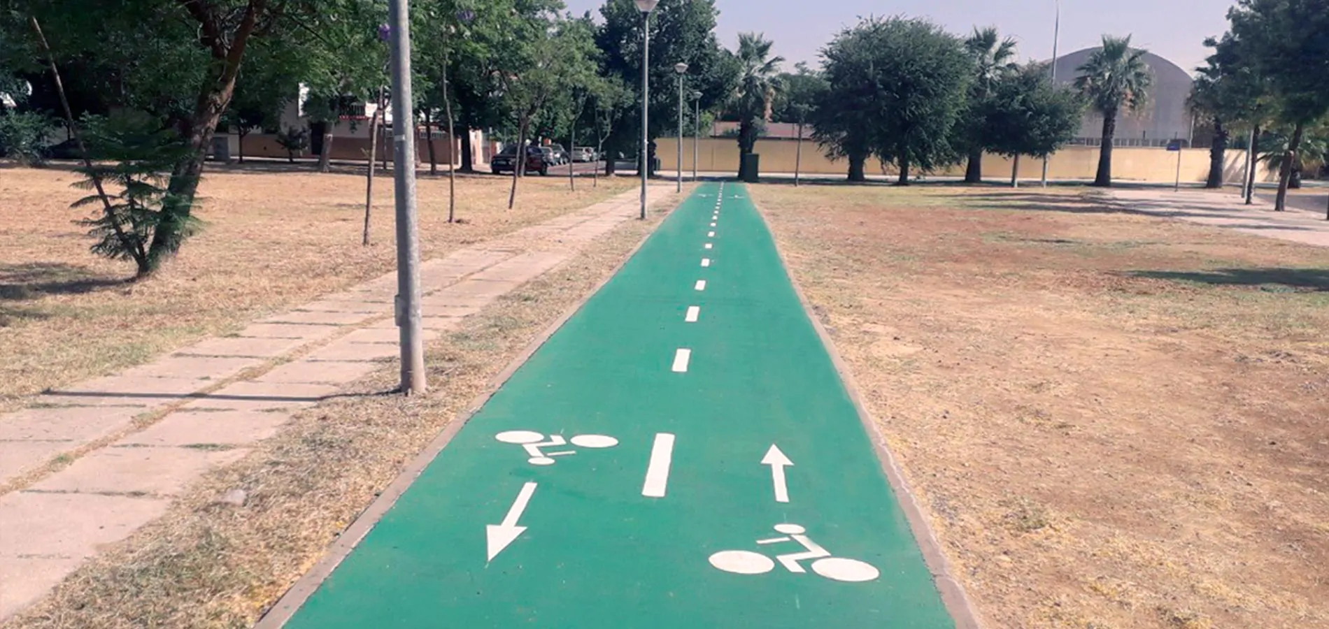 trafico y movilidad urbana carril bici sevilla