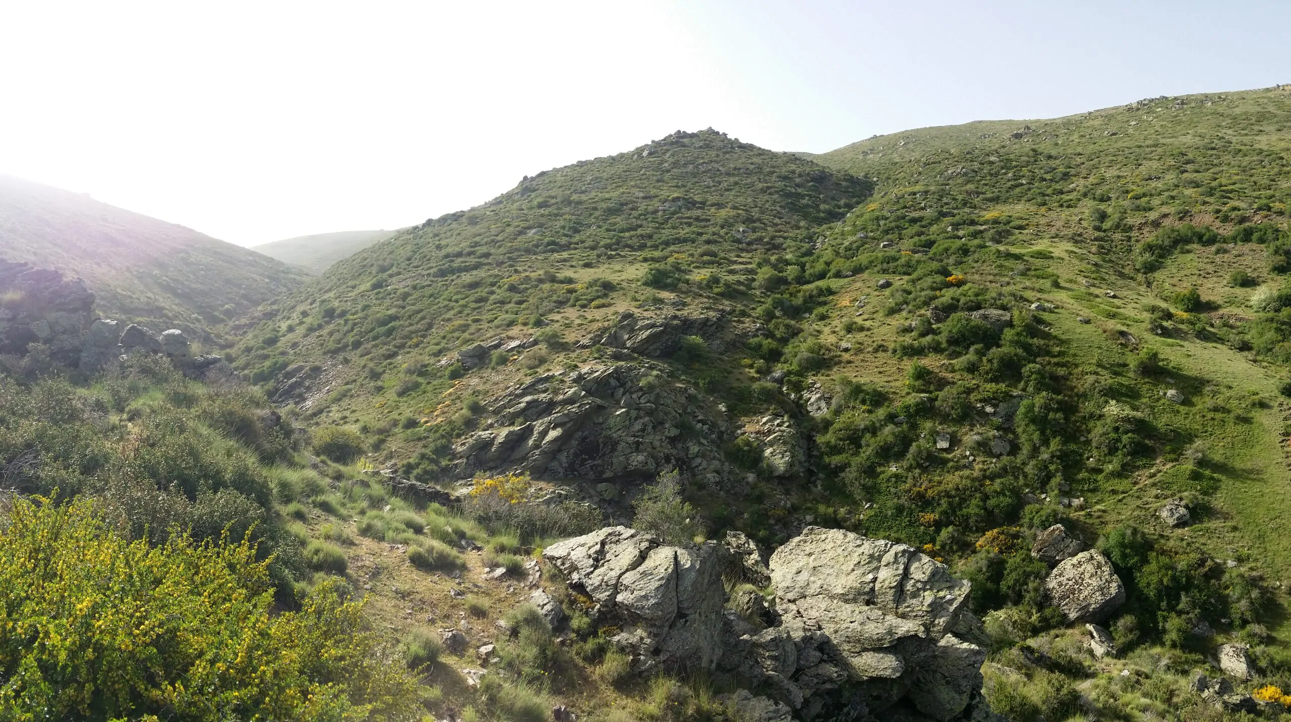 La Dirección General de política Forestal y Biodiversidad de la Consejería de Sostenibilidad, Medio Ambiente y Economía Azul ha adjudicado a Althenia Sando un nuevo contrato por el que llevará a cabo tratamientos selvícolas preventivos y de mejora en los montes del Espacio Natural de Sierra Nevada, en Granada.